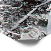 Poster de la nature des neiges du printemps (Coin)