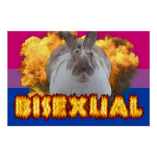 Poster de la Paddy Pride (Bisexual)