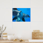 Poster de la paire de dauphins curieux (Cuisine)
