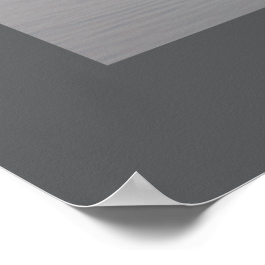 Poster de la paire de nageurs (Coin)