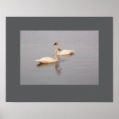 Poster de la paire de nageurs (Devant)