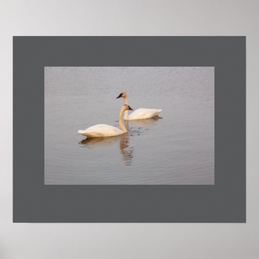 Poster de la paire de nageurs (Devant)