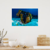 Poster de la palourde géante sur la Grande Barrièr (Cuisine)