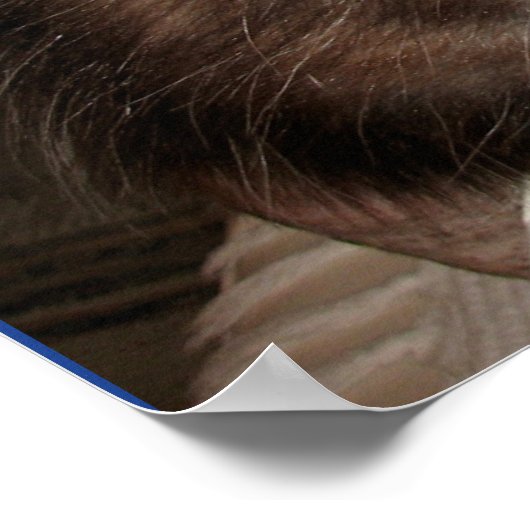 Poster de la perle ME (Coin)