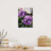 Poster de la photo Pansy Floral (Cuisine)