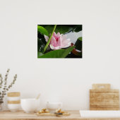 Poster de la photographie de l'éveil (Cuisine)