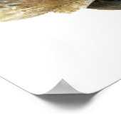 Poster de la photographie de Seashells Fine Art (Coin)