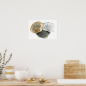 Poster de la photographie de Seashells Fine Art (Cuisine)