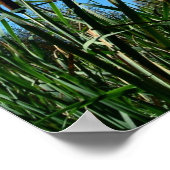 Poster de la photographie nature Écriture chrétien (Coin)