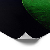 Poster de la photographie rose Lotus (Coin)