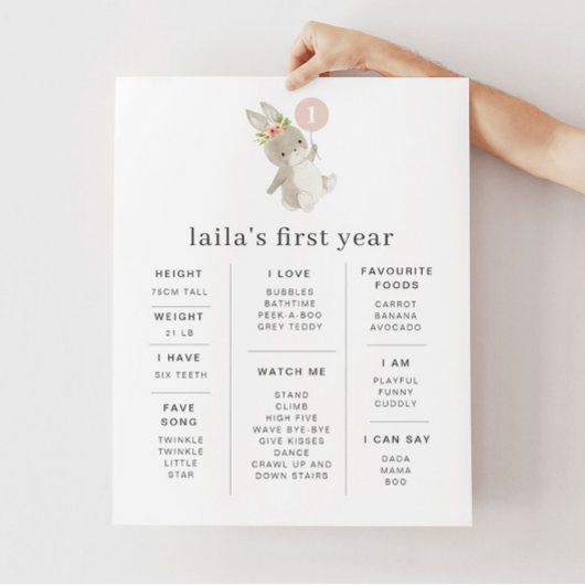 Poster de la pierre de taille du ballon rose lapin