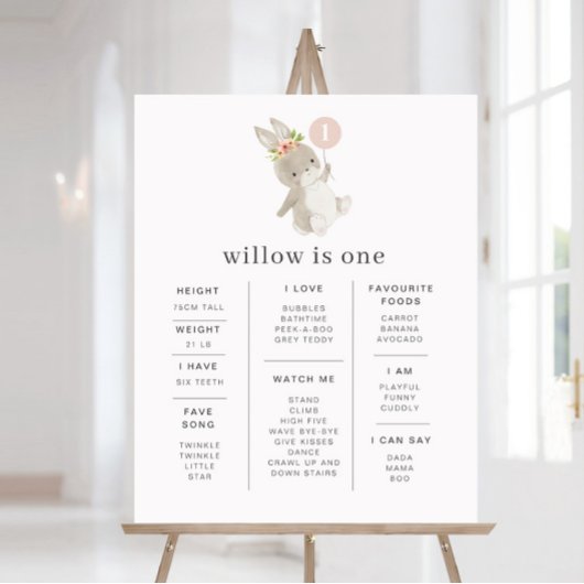 Poster de la pierre de taille du ballon rose lapin