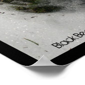 Poster de la piste de l'ours (Coin)