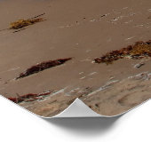 Poster de la plage de Padre Island (Coin)