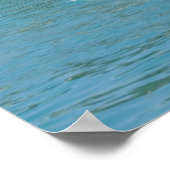 Poster de la plage Tropical Jumping Dolphin (Coin)