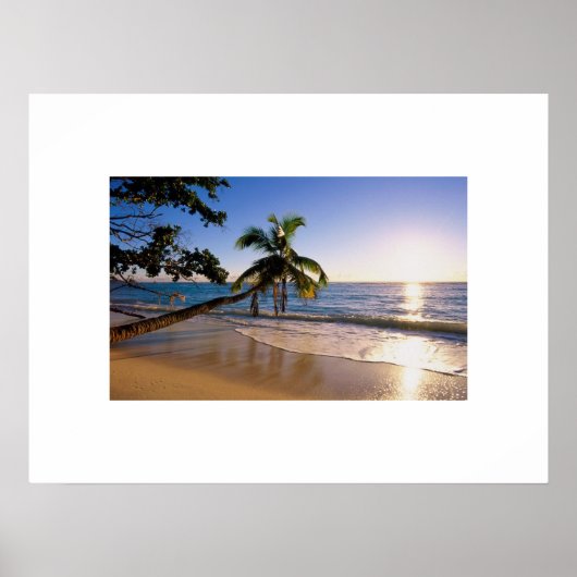 Poster de la plage tropicale (Devant)