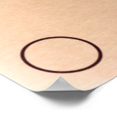 Poster de la Plaque Pioneer (Coin)