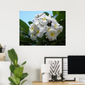 Poster de la Plumeria hawaïenne (Bureau à domicile)