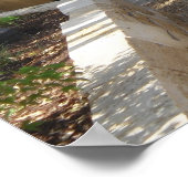 Poster de la porte de jardin près des jardins japo (Coin)