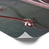 Poster de la porte de Vérone (Coin)