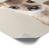 Poster de la pouponnière Animaux de Bébé - Cerf (Coin)