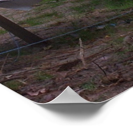 Poster de la pratique cible (Coin)