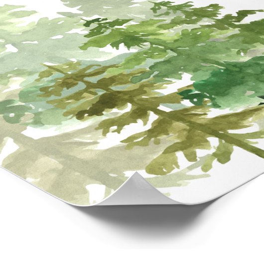 Poster de la première année de l'ours de forêt (Coin)