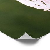 Poster de la prière Saint François (Coin)