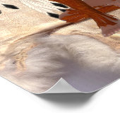 Poster de la princesse indienne américaine Dream C (Coin)