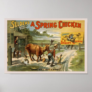 Poster de la publicité de la comédie vintage
