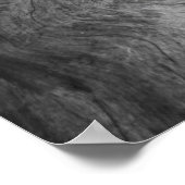 Poster de la racine de l'arbre (Coin)