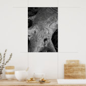 Poster de la racine de l'arbre (Cuisine)