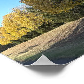 Poster de la rangée d'arbres (Coin)