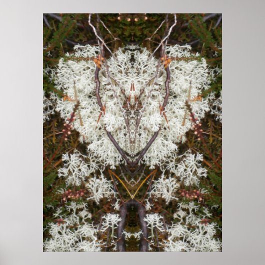 Poster de la reine Elizabeth 1st Lichen (Devant)