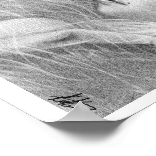 Poster de la reine Swan Ballerina (Coin)