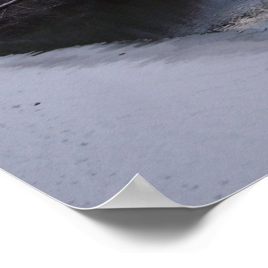 Poster de la réserve de Chilkat Eagle (Coin)