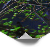 Poster de la rivière Jungle (Coin)