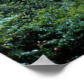 Poster de la rivière Little Pigeon (historique) (Coin)