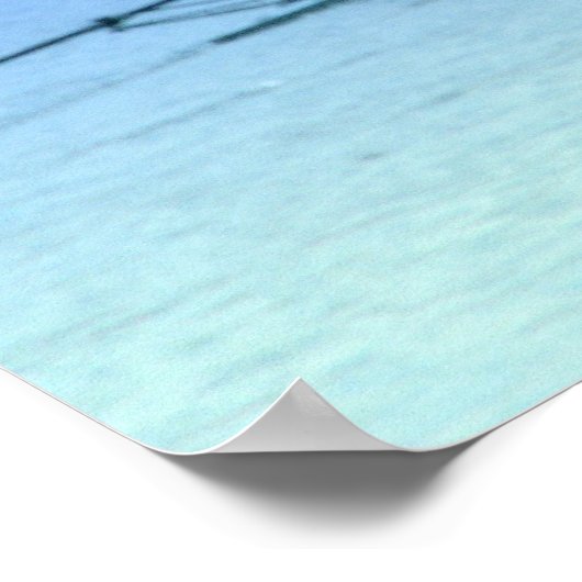 Poster de la rivière Sculling (Coin)