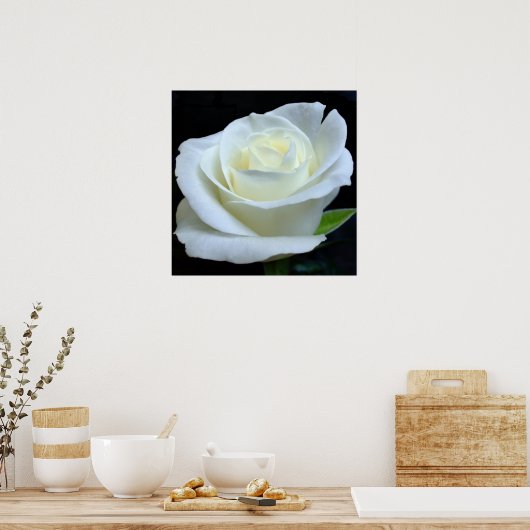 Poster de la Rose blanche (Cuisine)