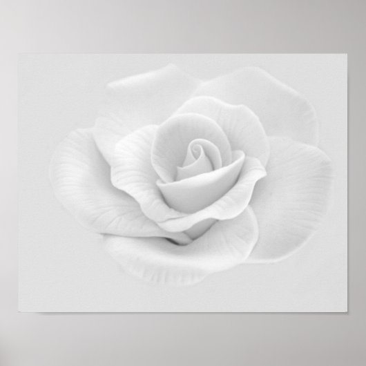Poster de la Rose blanche (Devant)