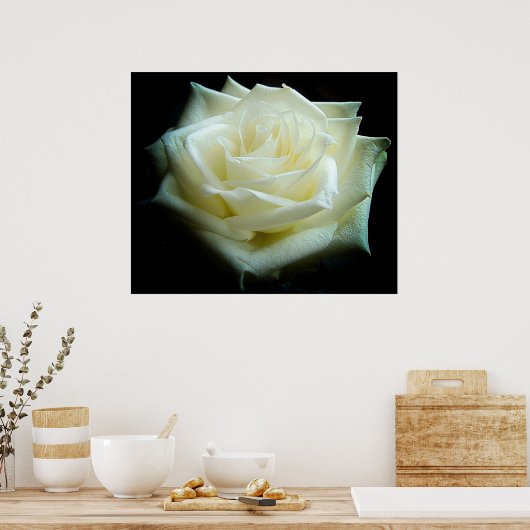 Poster de la Rose blanche (Cuisine)