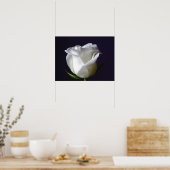 Poster de la Rose blanche (Cuisine)
