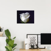 Poster de la Rose blanche (Bureau à domicile)