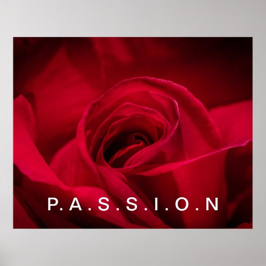 Poster de la Rose Rouge Passion (Devant)