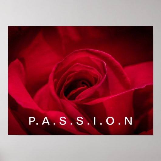 Poster de la Rose Rouge Passion (Devant)