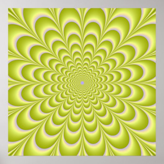 Poster de la Rosette Lime Green et Violet (Devant)