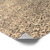 Poster de la route à travers le désert (Coin)