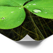 Poster de la Saint Patrick, Shamrock verte (Coin)