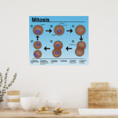 Poster de la salle de classe Mitosis *Mise à jour* (Cuisine)